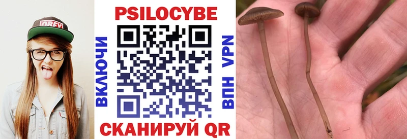 Галлюциногенные грибы Psilocybine cubensis  наркота  Куса 